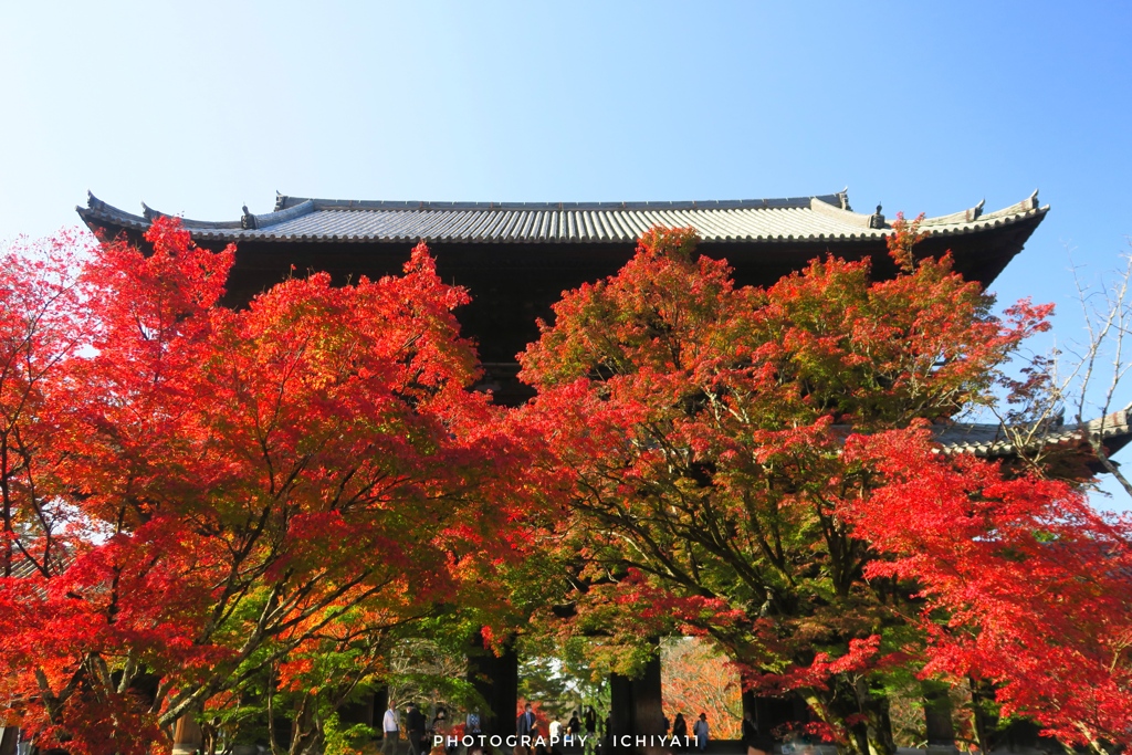 秋晴れの南禅寺