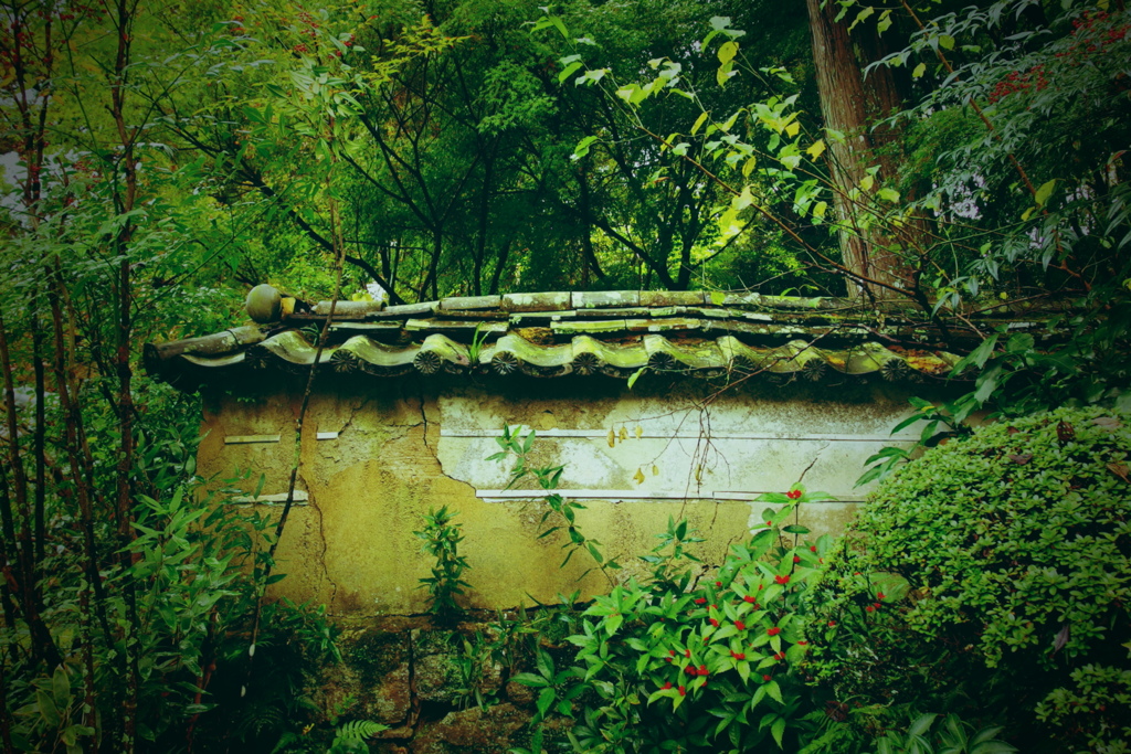 存在感