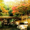 鴨池　-　IMGP0641