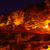 秋を翔ける橋