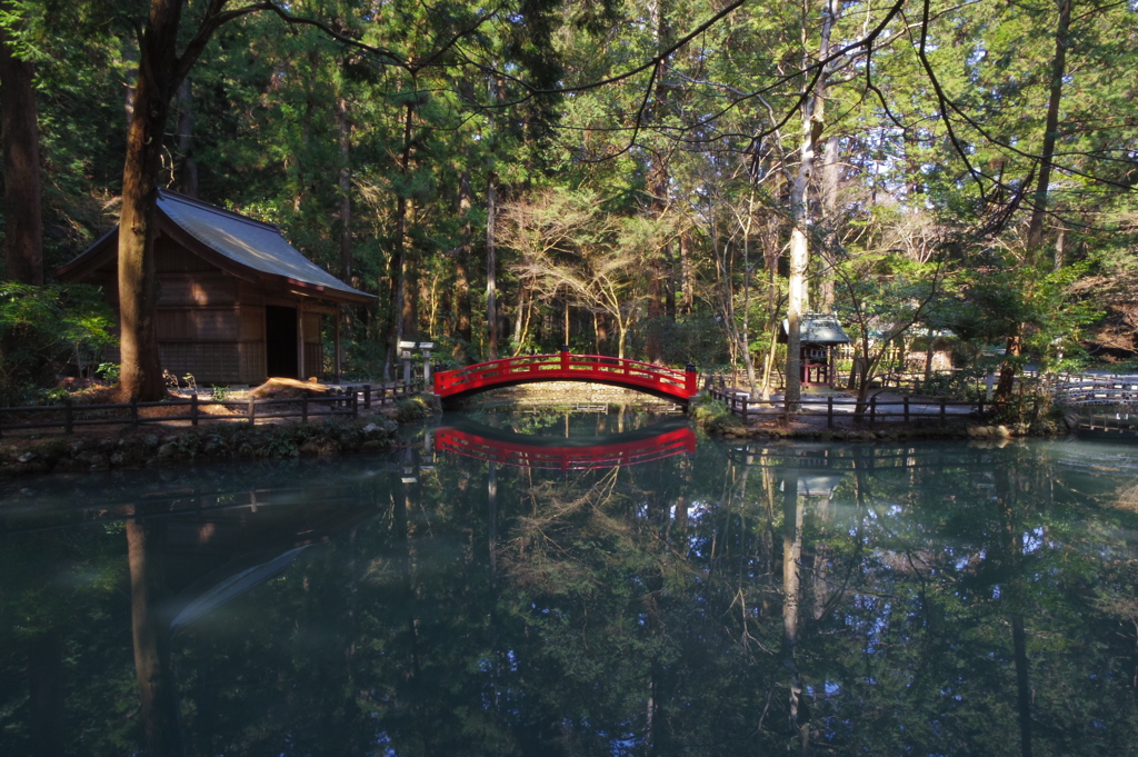 春を待つ水鏡