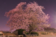 桜と2人の時間