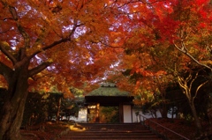 安楽寺　夕暮れ時の訪れ