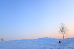 雪解けの美瑛