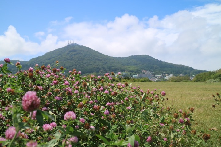 函館山