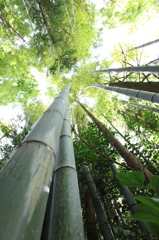 鹿児島にて