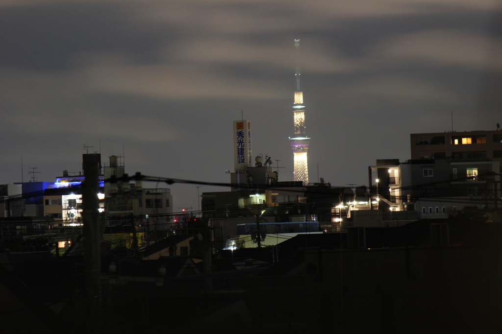 夜のスカイツリー（中野より）