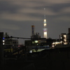 夜のスカイツリー（中野より）