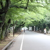 谷根千散策