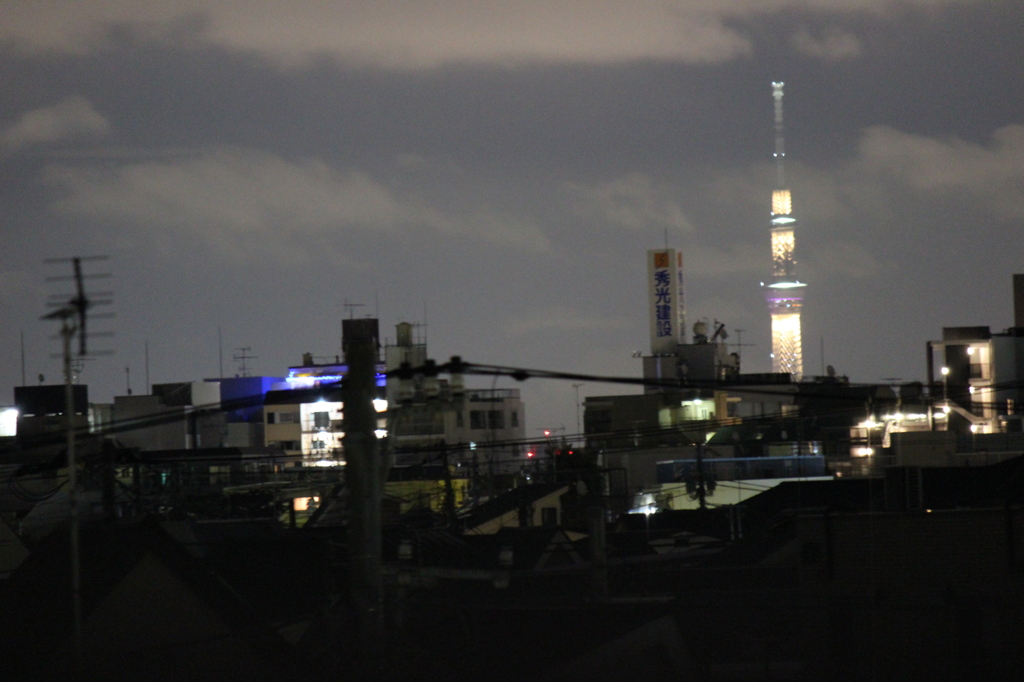 夜のスカイツリー（中野より）