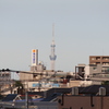 スカイツリーを中野より