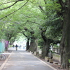 谷根千散策