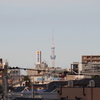 スカイツリーを中野より