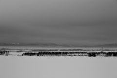 DSC_0007