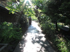 道