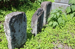 記憶