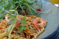 エビのショートパスタ