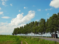 空に続く道
