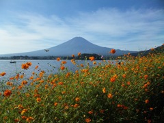 河口湖からの富士山