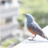 お疲れ様・・・