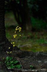 いつものようにそこにいて