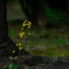 いつものようにそこにいて