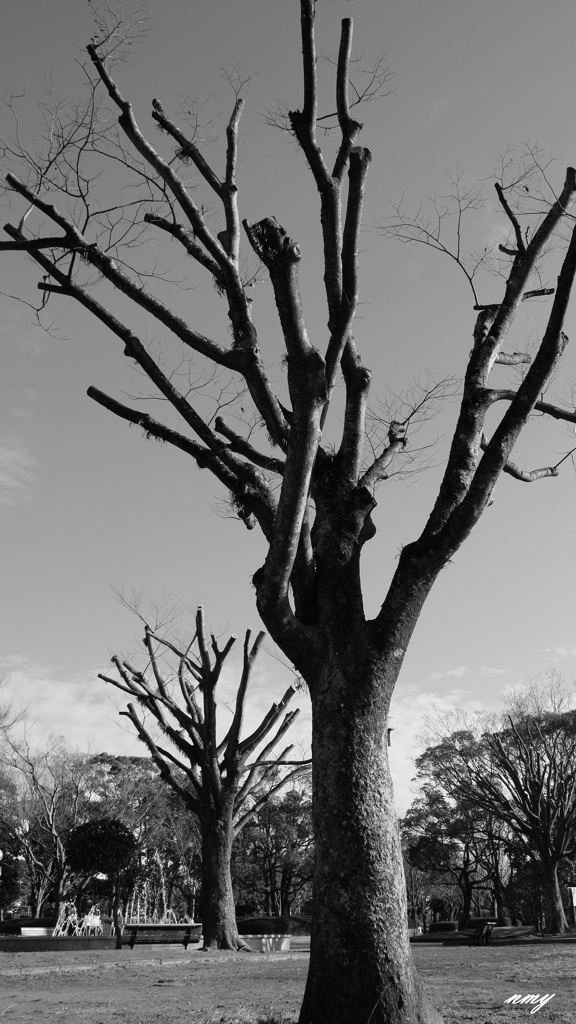 公園にて4
