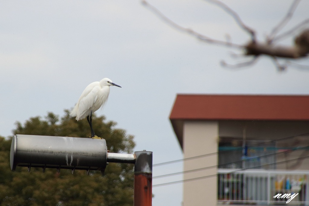 公園にて1-5