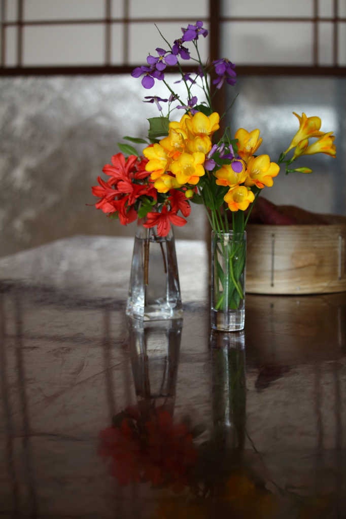 庭から頂いた春