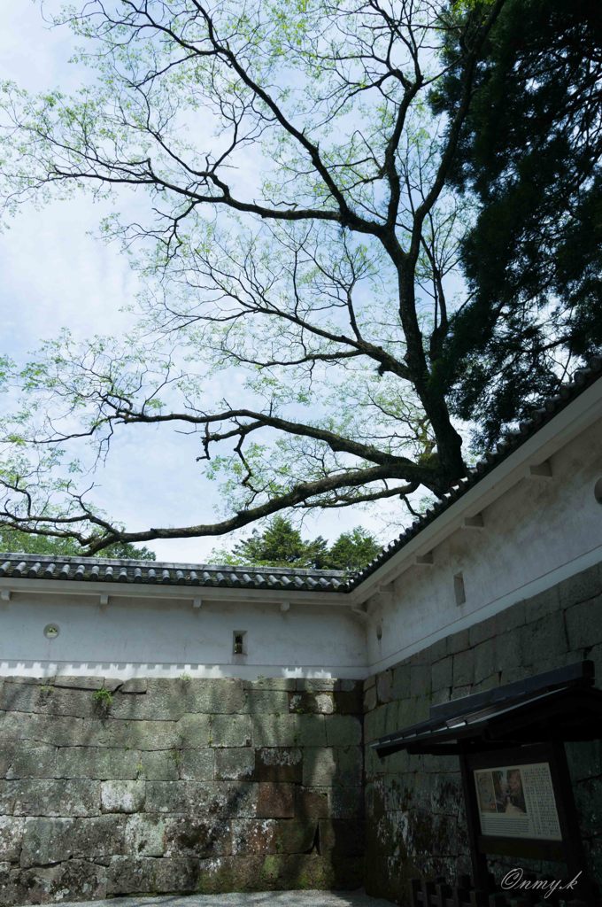城跡