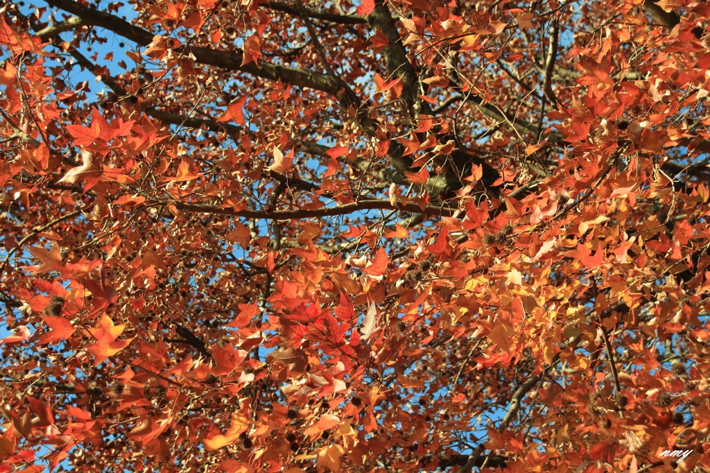 公園にて3