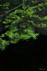 静かな春