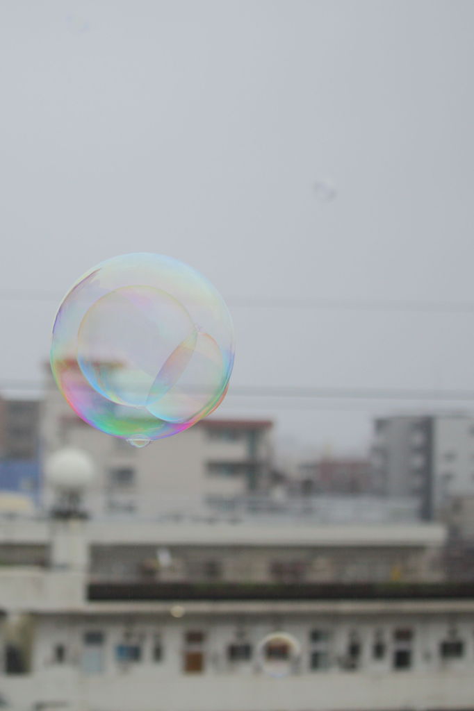 梅雨空に色を添えて