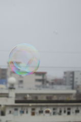 梅雨空に色を添えて