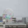梅雨空に色を添えて