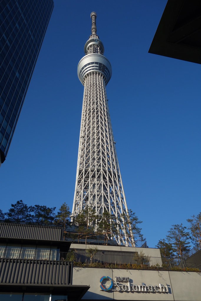 東京スカイツリー