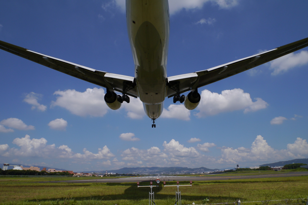 グワーとかぶさってバーンとはみ出す絵