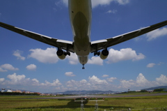 グワーとかぶさってバーンとはみ出す絵