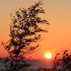 枇杷色の夕陽