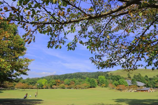 奈良公園