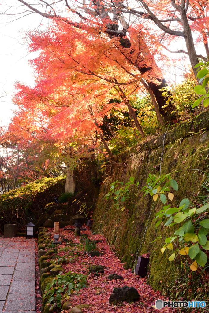 長谷寺(2)