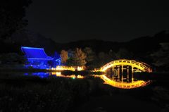 称名寺ライトアップ(2)