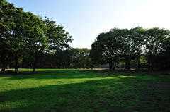 朝の茅ヶ崎中央公園(2)
