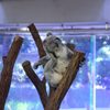 ちょっと痒いなぁ