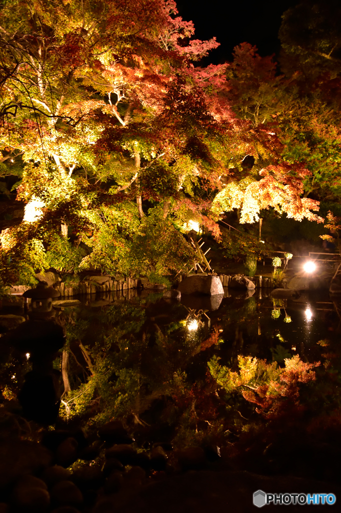 長谷寺・紅葉ライトアップ