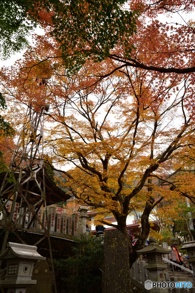 阿夫利神社　下社の紅葉