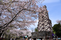 韮山反射炉の桜(2)