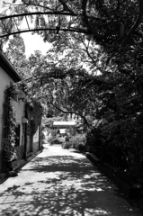 MOKICHI TRATTORIA
