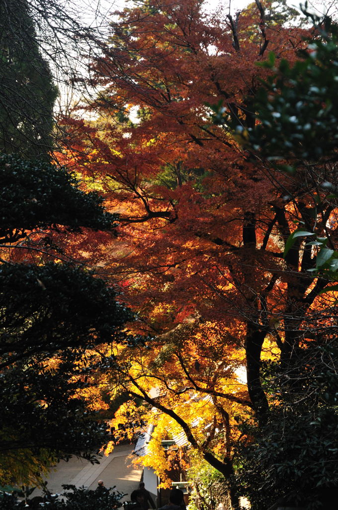 円覚寺・その８