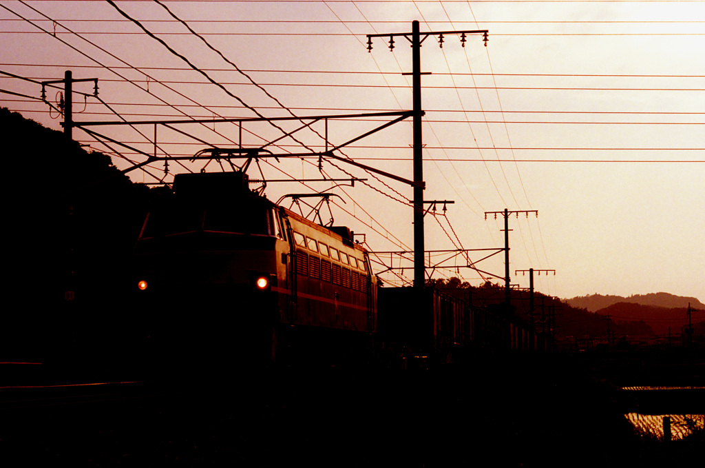 夕日を浴びて走る貨物列車